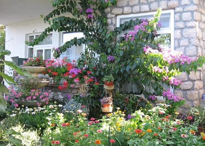 Apartament Edi + Minja *